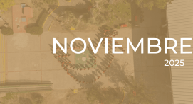 Noviembre 2025